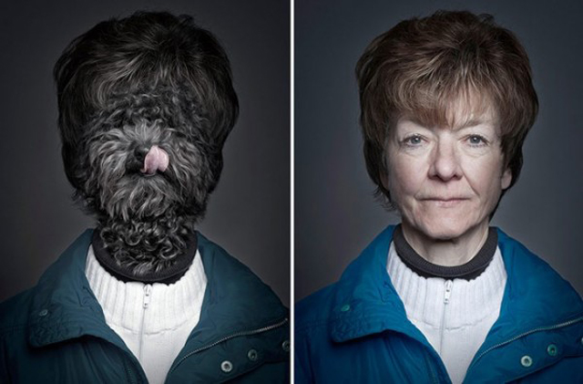 Dogs-Dressing-Up-Like-Their-Owners-caligramma