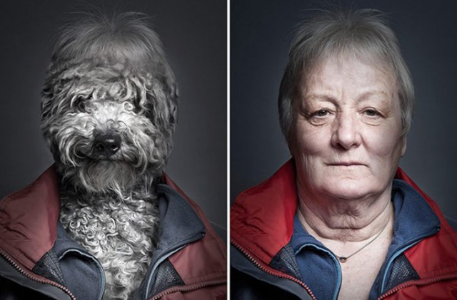 Dogs-Dressing-Up-Like-Their-Owners6-caligramma